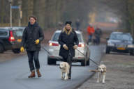 LINDA DE MOL and partner take a walk with their dogs