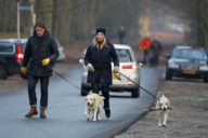 LINDA DE MOL and partner take a walk with their dogs