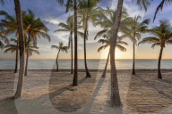 PEOPLE - So bunt wohnen Tommy und Dee Hilfiger in Florida