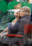 FEATURE - Birmingham: Crufts die Hundeshow - Warten auf den Auftritt