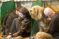 FEATURE - Birmingham: Crufts die Hundeshow - Warten auf den Auftritt