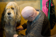 FEATURE - Birmingham: Crufts die Hundeshow - Warten auf den Auftritt