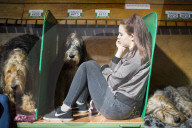 FEATURE - Birmingham: Crufts die Hundeshow - Warten auf den Auftritt