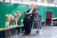 FEATURE - Birmingham: Crufts die Hundeshow - Warten auf den Auftritt
