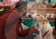 FEATURE - Birmingham: Crufts die Hundeshow - Warten auf den Auftritt