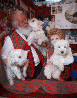 FEATURE - Birmingham: Crufts die Hundeshow - Warten auf den Auftritt