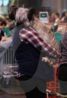FEATURE - Birmingham: Crufts die Hundeshow - Warten auf den Auftritt