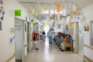Dementia in Japan