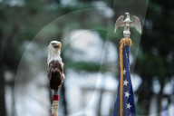 NEWS - Protest in Washington gegen die geplante Pipeline in Dakota