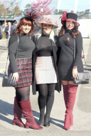 PEOPLE - Ladies Day am Cheltenham Festival 