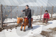 FEATURE - China: Ein Bauer baut sich einen hölzernen Ochen