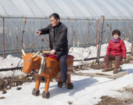 FEATURE - China: Ein Bauer baut sich einen hölzernen Ochen