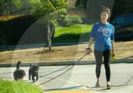 EXKLUSIV - Rollenteilung: Steven Yeun bringt den Abfall raus und die schwangere Joana Pak kümmert sich um die Hunde