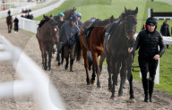 PEOPLE - Promis am Cheltenham Festival