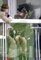 PEOPLE - Promis am Cheltenham Festival