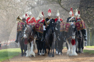 NEWS - London: Die 'HM Household Cavalry' übt im Hyde Park