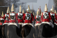 NEWS - London: Die 'HM Household Cavalry' übt im Hyde Park