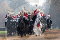 NEWS - London: Die 'HM Household Cavalry' übt im Hyde Park