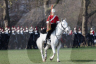 NEWS - London: Die 'HM Household Cavalry' übt im Hyde Park