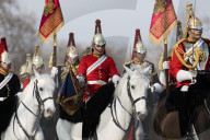 NEWS - London: Die 'HM Household Cavalry' übt im Hyde Park