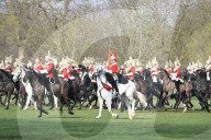NEWS - London: Die 'HM Household Cavalry' übt im Hyde Park