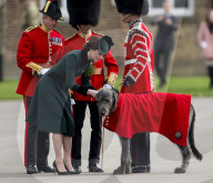 PEOPLE -  London: Kate und William an der Irish Guards St Patrick's Day Parade