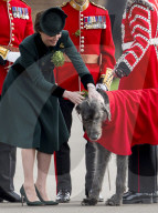 PEOPLE -  London: Kate und William an der Irish Guards St Patrick's Day Parade