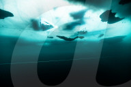 FEATURE - Weltrekord im Tauchen unter Eis