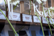 NEWS - Italien: Gedenken der Opfer beim Hotel Rigopiano