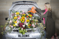 FEATURE - Die Harrogate Blumen Schau