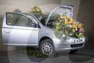 FEATURE - Die Harrogate Blumen Schau