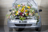 FEATURE - Die Harrogate Blumen Schau