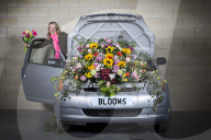 FEATURE - Die Harrogate Blumen Schau
