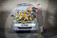 FEATURE - Die Harrogate Blumen Schau