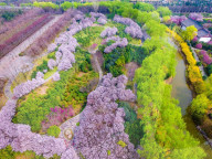FEATURE - China: Farbenprächtiger Botanischer Garten von Luoyang aus der Vogelschau
