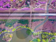 FEATURE - China: Farbenprächtiger Botanischer Garten von Luoyang aus der Vogelschau