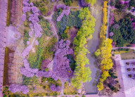 FEATURE - China: Farbenprächtiger Botanischer Garten von Luoyang aus der Vogelschau