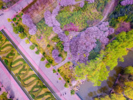 FEATURE - China: Farbenprächtiger Botanischer Garten von Luoyang aus der Vogelschau