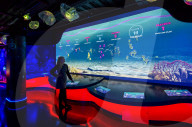 FEATURE - Farbenprächtige Quallen im Sea Life in London