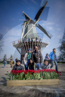 FEATURE - Der Keukenhof eröffnet den Frühling