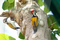 PEOPLE - Lady in Black: Kimberly Stewart in Brentwood unterwegs