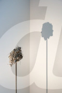 FEATURE - Ausstellung zum Thema Selfie: "From Selfie To Self-Expression" in London