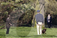 EXKLUSIV - David Beckham tollt mit Hund und Sohn Cruz im Hyde Park herum
