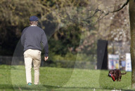 EXKLUSIV - David Beckham tollt mit Hund und Sohn Cruz im Hyde Park herum