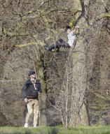 EXKLUSIV - David Beckham tollt mit Hund und Sohn Cruz im Hyde Park herum