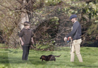 EXKLUSIV - David Beckham tollt mit Hund und Sohn Cruz im Hyde Park herum