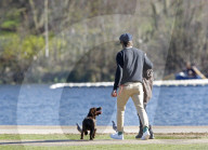 EXKLUSIV - David Beckham tollt mit Hund und Sohn Cruz im Hyde Park herum