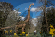 FEATURE - Die Dinosaurier haben London überrannt