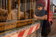 NEWS - Irak: Rettungsaktion im Zoo von Mossul