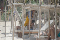 EXKLUSIV - Richard Gere stürzt sich in die Fluten in seinen Ferien in Tulum